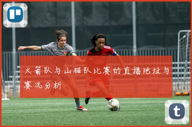 火箭队与山猫队比赛的直播地址与赛况分析