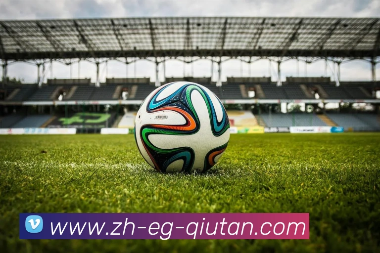 球探体育平台生态图