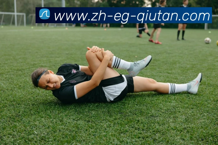 球探体育APP 封面图