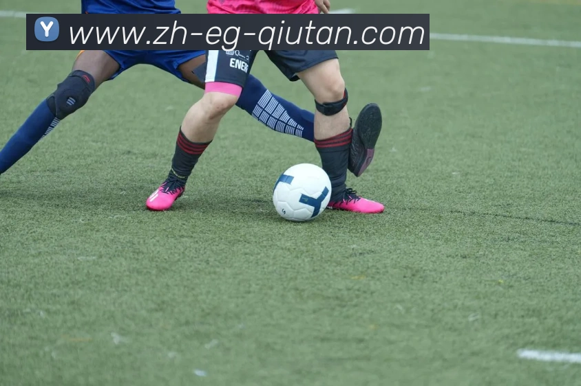 数据防护可视化